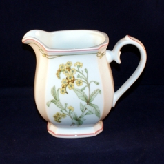 Clarissa Milk Jug as good as new