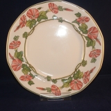 Piccadilly Dinner Plate 24 cm used