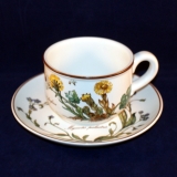 Botanica Tea Cup with Saucer used