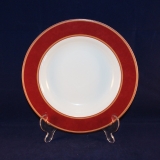 Tirschenreuth Barolo Soup Plate/Bowl 22,5 cm as good as new