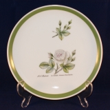Redoute Rosier Dessert/Salad Plate Nr. XI 20,5 cm as good as new