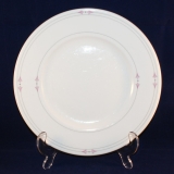 Osiris Dinner Plate 27 cm used