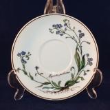 Botanica Saucer for Jumbo Cup 16,5 cm very good