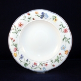 Mariposa Soup Plate/Bowl 24 cm often used