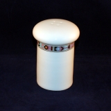 Trend Indiana Salt Pot/Salt Shaker as good as new