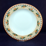 Switch 4 Naranja Soup Plate/Bowl 22 cm as good as new