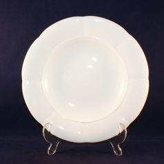 Damasco Soup Plate/Bowl 24 cm as good as new