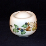 Tavola Country Salt Pot/Salt Shaker as good as new