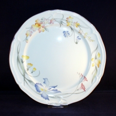 Riviera Dinner Plate 25 cm often used