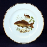 Fish Service Dinner Plate 25 cm Scene 1 very good
