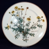 Botanica Dinner Plate 24 cm often used