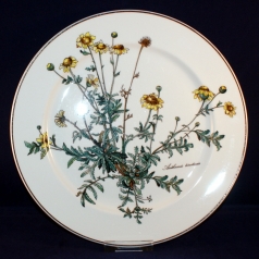 Botanica Dinner Plate 27 cm very good