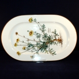 Botanica Oval Serving Platter 33 x 20,5 cm used