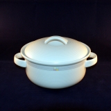 Trend Derby Serving Dish/Bowl with Lid and Handle 9,5 x 20 cm as good as new