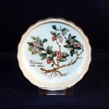 Botanica Mini-Quicheform Motiv 3. 3 x 11,5 cm neuwertig