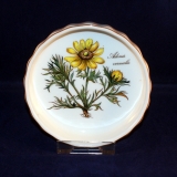 Botanica Mini-Quicheform Motiv 5. 3 x 11,5 cm neuwertig