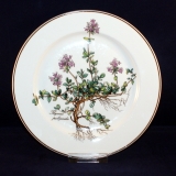 Botanica Dessert/Salad Plate 21 cm as good as new