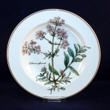 Botanica Soup Plate/Bowl 22 cm used